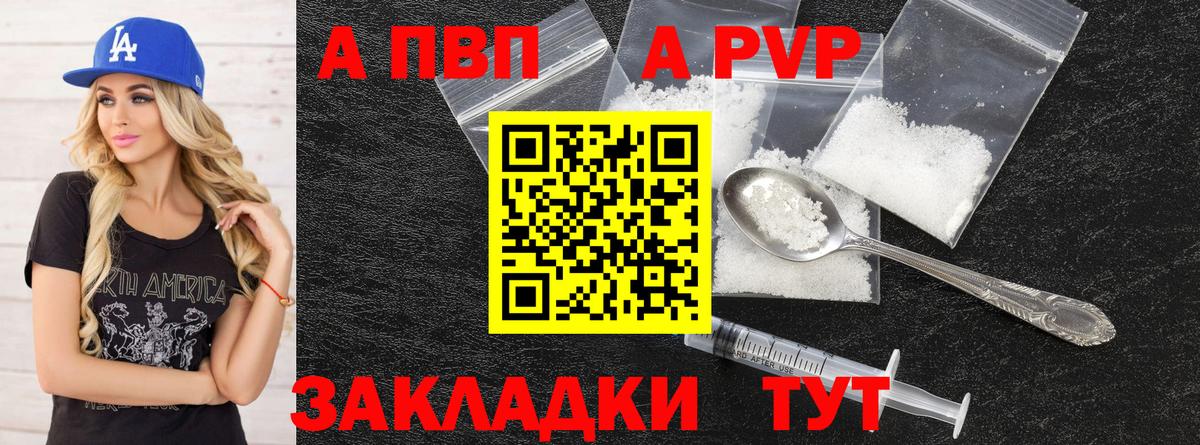 A PVP СК КРИС Новороссийск