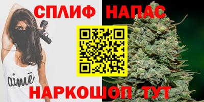 эйфоретик Тара