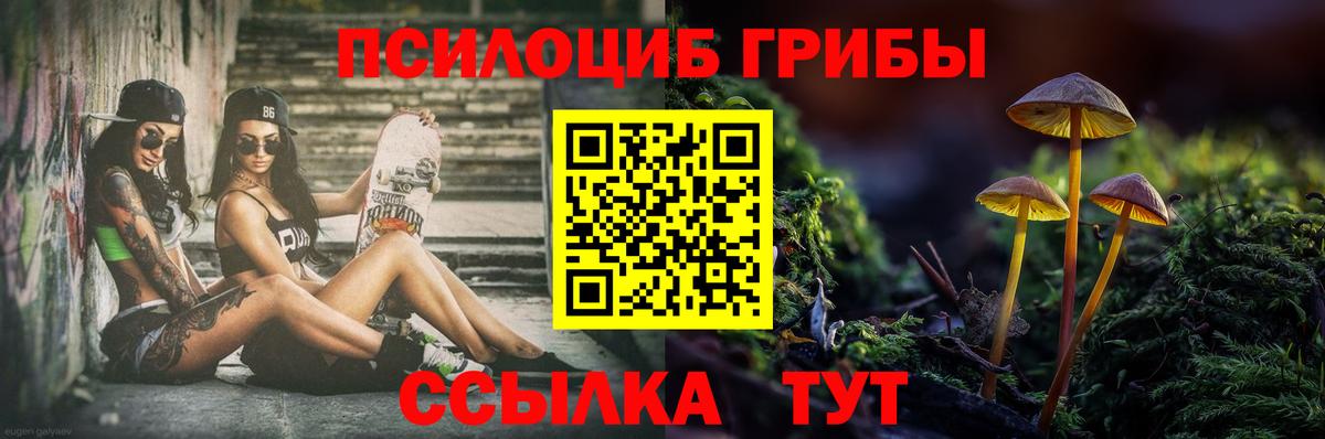 Псилоцибиновые грибы мицелий  что такое   Галлюциногенные грибы прущие грибы  Новороссийск  Вход с VPN 