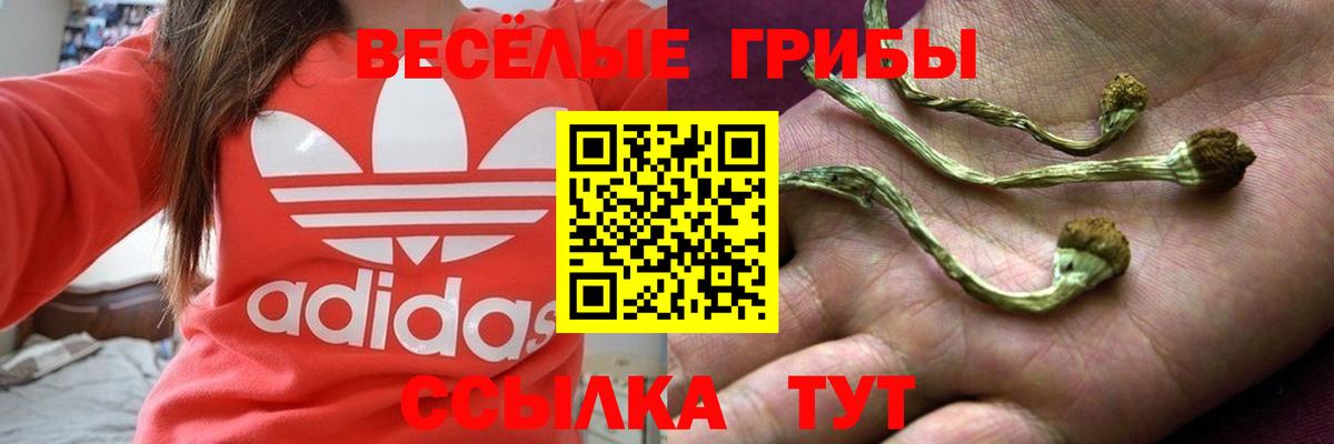 Галлюциногенные грибы мухоморы Новороссийск