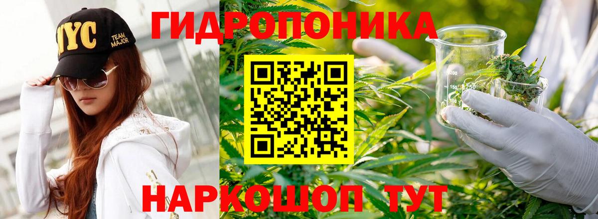 Новороссийск  Шишки марихуана OG Kush  Бошки Шишки индика  Вход с VPN 